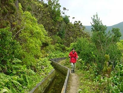Wandelen langs de Levada, Madeira, Portugal